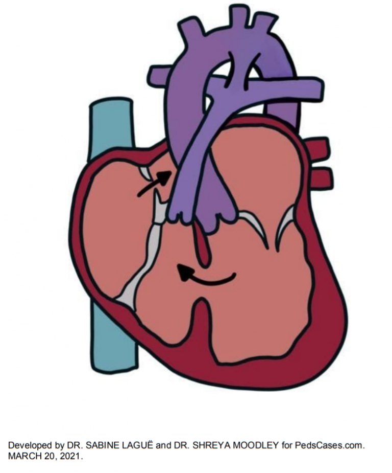 There is no Figure 2 in the PDF script.