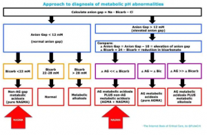 Dog Metabolic Acidosis Causes Reference: The Diagnosis Of Nagma May Be Made In One Of