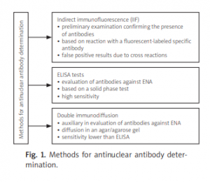 The antinuclear antibody count can be determined using various methods ...