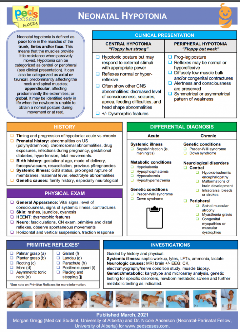 Click here for the fullscreen PDF handout