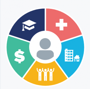 DETERMINANTS OF HEALTH HEALTHY PEOPLE 2030 visual data 6