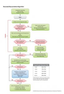 Google Search AI Overview